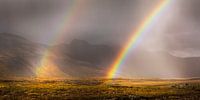 Landschaft mit doppeltem Regenbogen im Süden von Island von Chris Stenger Miniaturansicht