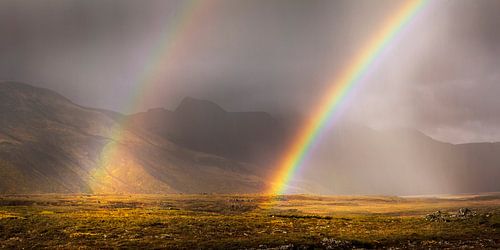 Landschap met dubbele regenboog in het zuiden van IJsland
