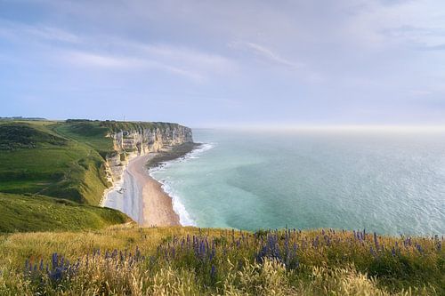 Belle lumière du soir sur les falaises blanches près d'Étretat - Magnifique Normandie
