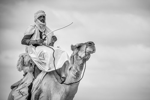 Moussem de Tantan, Morocco