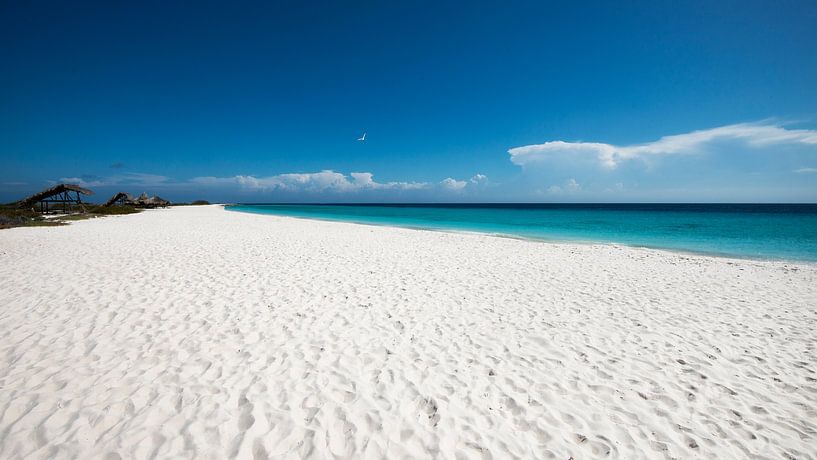 Tropischer weißer Strand - Kleines Curacao von Keesnan Dogger Fotografie