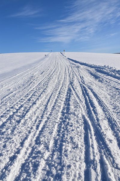Eine Schneemobilspur auf einem Feld von Claude Laprise