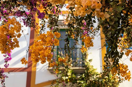 Puerto de Mogan, Gran Canaria