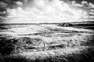 Niederlande | Idyllisches Häuschen in den Dünen in schwarz-weiß | Naturfotografie von Diana van Neck Photography Miniaturansicht