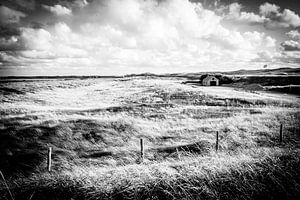 Pays Bas | Chalet idyllique dans les dunes en noir et blanc | Photographie de nature sur Diana van Neck Photography
