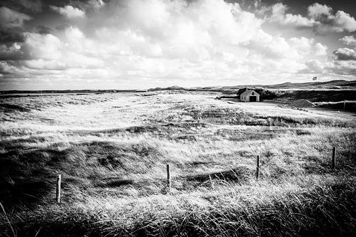Nederland | Idyllisch huisje in de duinen in zwart-wit | Natuurfotografie