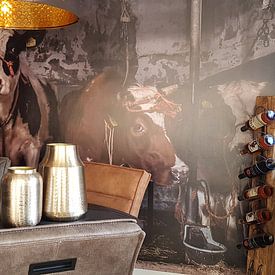 Customer photo: Dutch cows in an old barn by Inge Jansen