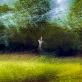 abstrakte Landschaft mit Schatten von Jannie Looge