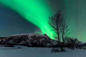 Nordlichter über den Lofoten in Norwegen