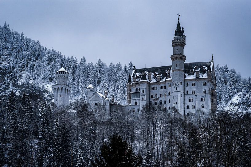 Slot Neuschwanstein Duitsland von Mario Calma