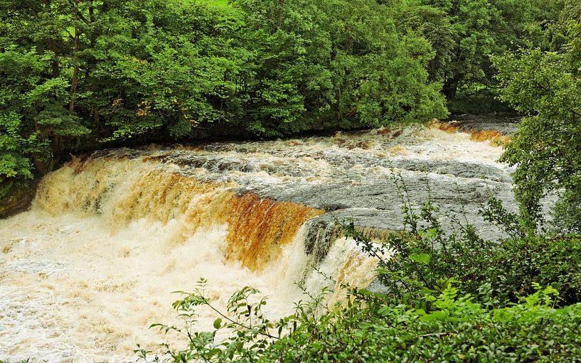 Aysgarth Middle Falls - Wasserfall in Yorkshire von Gisela Scheffbuch