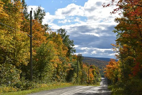 La route du lac à l'automne