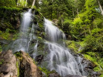 Beautiful waterfall in the Black Forest