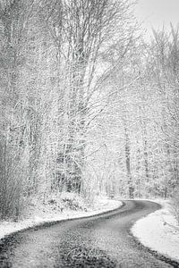 Route d'hiver
