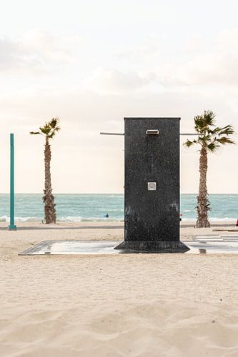 Außendusche unter Palmen