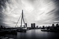 Rotterdam, de Erasmusbrug von Parallax Pictures Miniaturansicht