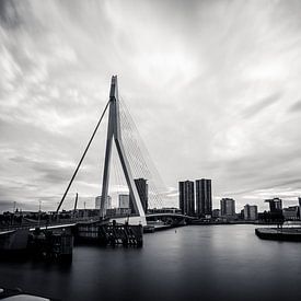 Rotterdam, de Erasmusbrug van Parallax Pictures