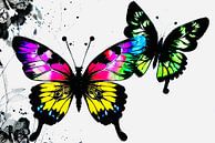 Twee kleurrijke vlinders van ButterflyPix thumbnail
