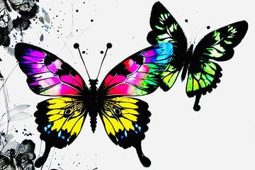 Deux papillons multicolores sur ButterflyPix