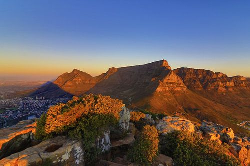 Lions head Sunset