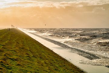 Storm op het IJsselmeer van Sjoerd van der Wal