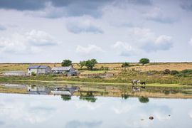 Dozmary Pool (England) by Marcel Kerdijk