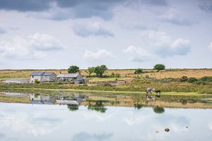 Dozmary Pool (Angleterre) sur Marcel Kerdijk