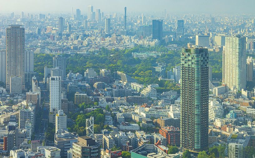 Stadtbild von Tokio (Japan) von Marcel Kerdijk