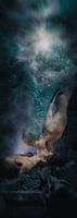 Breath of Life, stefan witte
