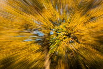 Autumn zoom van Michiel Mos