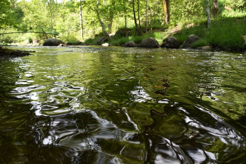 The river in the park in summer by Claude Laprise