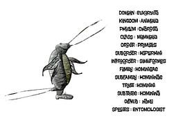 Entomologist taxonomie