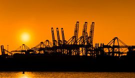 Scherenschnitte von Ton van Buuren