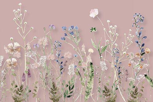 Wildflower Meadow  Summer Dark Blush