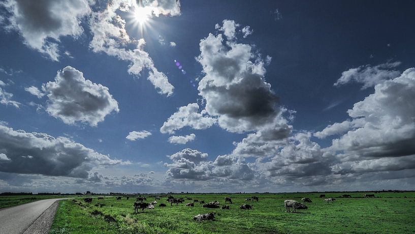 Koeien onder Hollandse wolken van Michiel Leegerstee