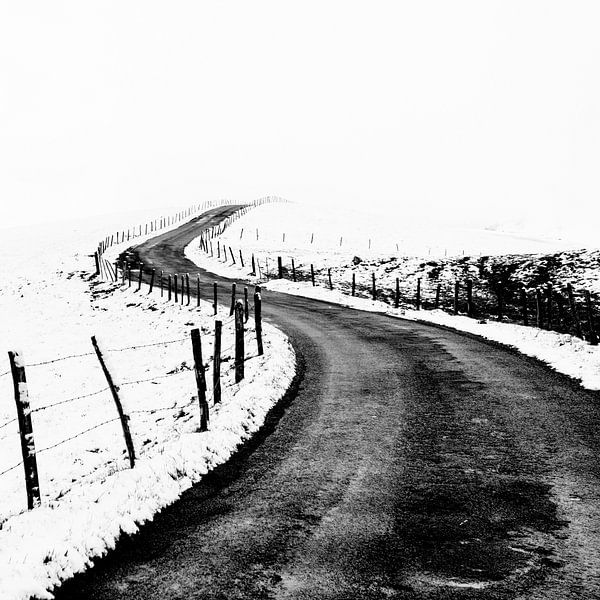 Der Weg ins Nirgendwo von Kees Kroon