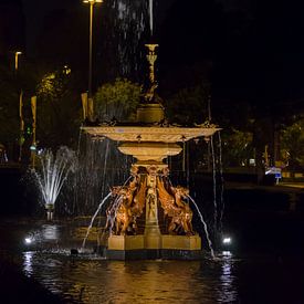 Fontein der Eeuwige Jeugd sur Lennard Deij