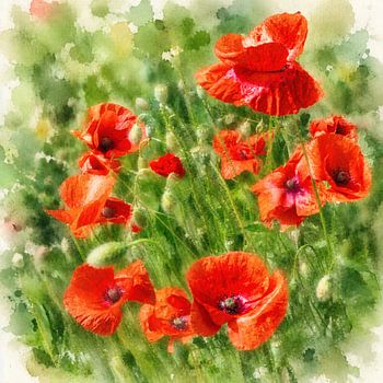 A dreamy field of red poppies.