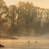 IJssel near Wilsum in fog by Evert Jan Kip