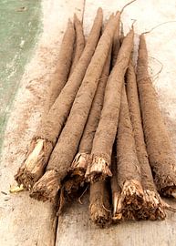 vegetables0280a by Liesbeth Govers voor Santmedia.nl