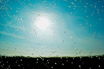 Spring Rain van Ron Steens