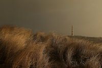 Vuurtoren Ameland