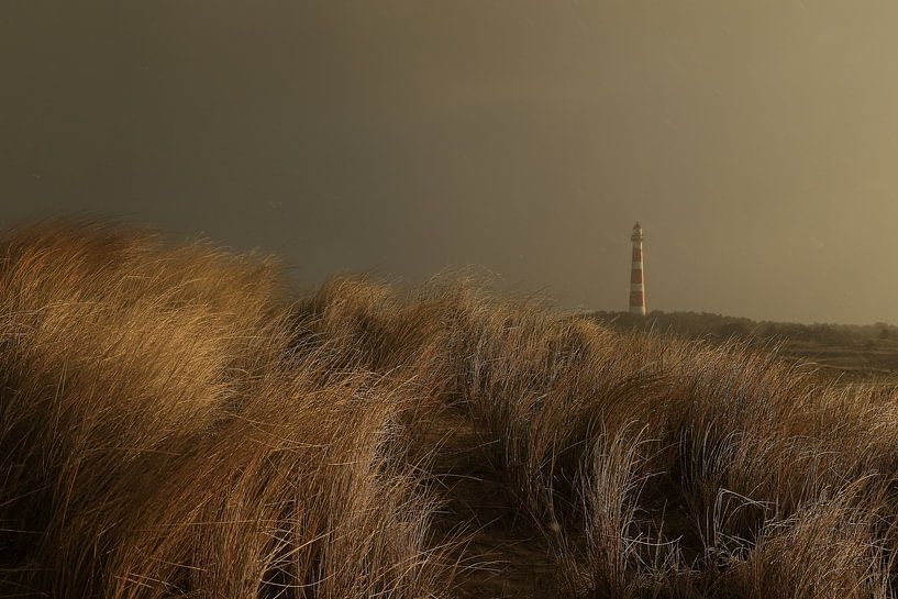 Leuchtturm von Ameland von Rinnie Wijnstra (FotoAmeland )