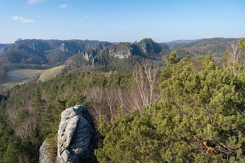 Gamrig en Saksisch Zwitserland in de winter