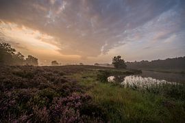 magical moment by Bart Liesenborgs