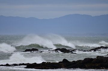 Californische kust van Andreas Muth-Hegener