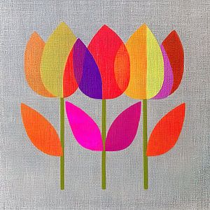 Tulipes en abstraction et en couleur