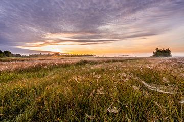 Kleurige zonsopkomst boven een weiland van Dafne Vos