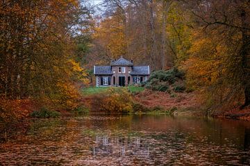 Autumn in Zypendaal by Mario Visser