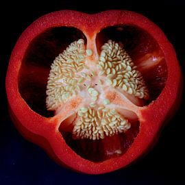 Paprika von Frans Kruijf